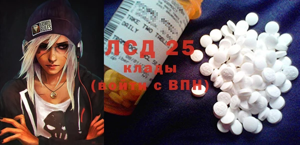 прущие грибы Армянск