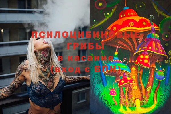 spice Аркадак