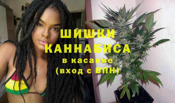 прущие грибы Армянск